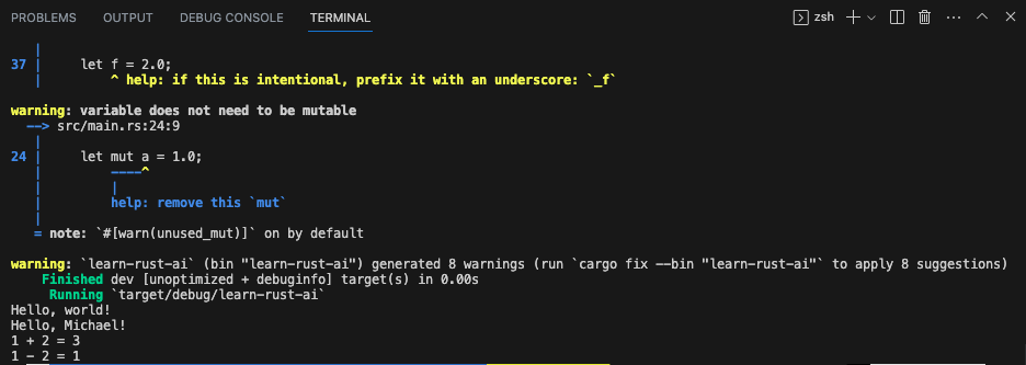 Terminal build, warnings, Rust compiler help